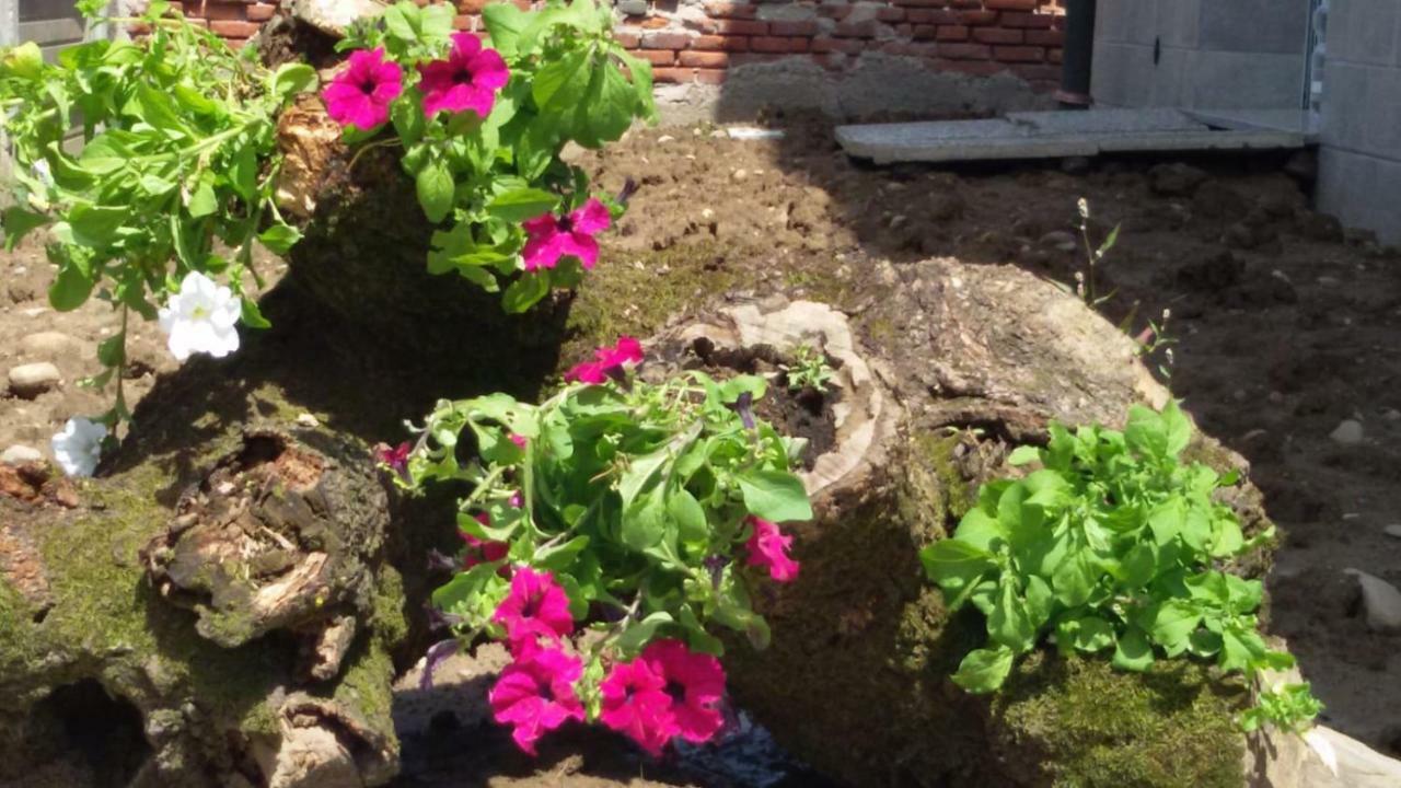 B&B Honey Rooms Saronno Exterior photo
